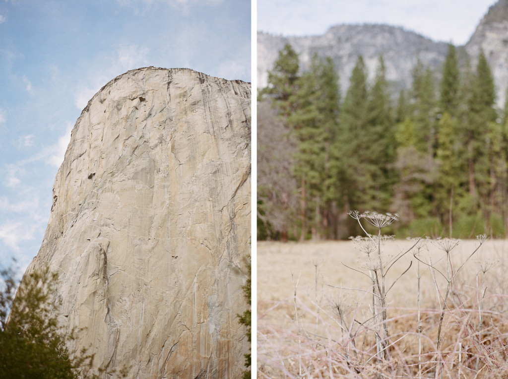 Yosemite10-1