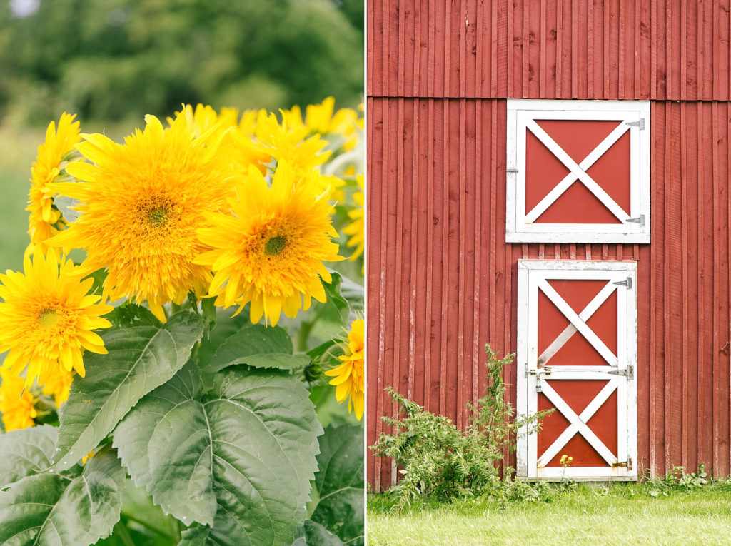 vermontwedding_destinationweddingphotographer007